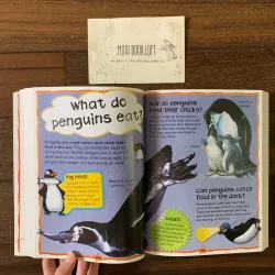 Sách ngoại văn My First Animal Questions and Answers, Used, Siêu Dày 578055