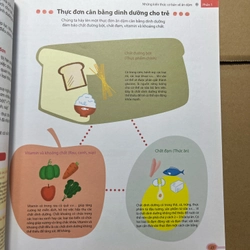 Ăn Dặm Kiểu Nhật 524951