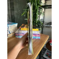 Rèn luyện trí tuệ (Phát triển IQ cho trẻ em) - Nhiều tác giả (Thục Vân dịch)