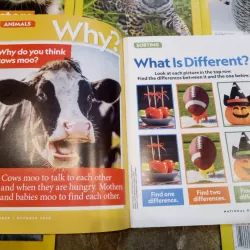 Combo 18 cuốn tạp chí khoa học tiếng Anh Nat Geo cho bé 732926