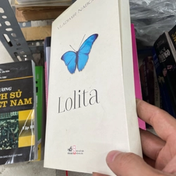 Lolita       361669