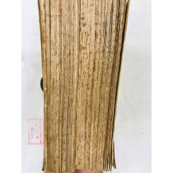 Những cây thuốc và vị thuốc Việt Nam - Đỗ Tất Lợi 52530