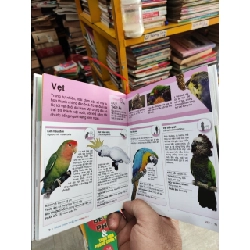 Bách Khoa Thiếu Nhi Động Vật - Dorling Kindersley Limited 1057991