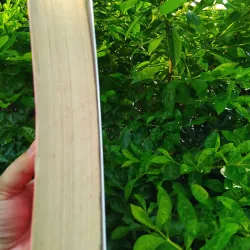 Đại cương triết học Trung Quốc  1032068