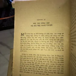 Cái đẹp - Một giá trị - Đỗ Huy  1024587