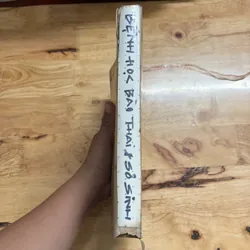 II Sách Y: Bệnh Học _ Bào Thai Và Sơ Sinh (Tập 2) - J. EDGAR MORISON - 1979 682253