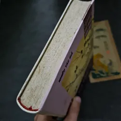 Hoa hồng dại - Truyện cực ngân Trung quốc 736468