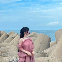 Áo tiểu thư hồng  530471