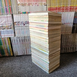 Truyện Tsubasa Giấc Mơ Sân Cỏ -  NXB Kim Đồng 273527