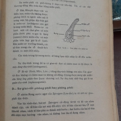 SINH HỌC THỰC VẬT - PHẠM HOÀNG HỘ 470312