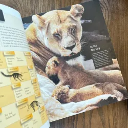 ✨𝑴𝒂𝒎𝒎𝒂𝒍𝒔✨ sách cũ ngoại văn, sách khoa học 565232