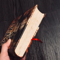 Rừng xanh lá đỏ 531085