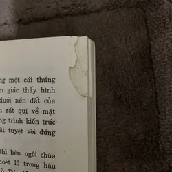 Trầu cau việt điện thư 674049