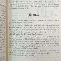CÂY RAU LÀM THUỐC - VÕ VĂN CHI 746967