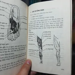 Giải phẫu tạo hình 681003