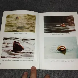 KỂ CHUYỆN VỀ RÙA Ở HỒ GƯƠM 993105