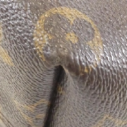 Túi Louis Vuitton Monogram Tuileries PM M48813 615399