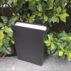 Tiêu Sơn tráng sỹ tiểu thuyết của Khái Hưng  733480