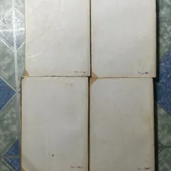 Phi Long diễn nghĩa ( 4 tập) 992776