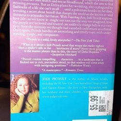 JODI PICOULT - VANISHING ACTS 496728