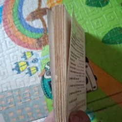 Đảo Giấu Vàng ( khổ nhỏ ) 1001139