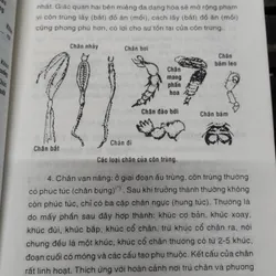 Hãy trả lời em? TẠI SAO?".
Tác giả của cuốn sách là Trình Bảo Xước và Trương Trọng Đức.
 703713