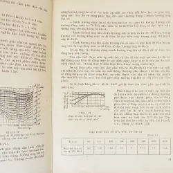 Cơ sở Âm học kiến trúc 568552