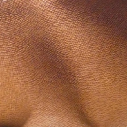 Túi xách Louis Vuitton Monogram Papillon 26cm M51386 - Hàng hiệu Chính hãng 766115