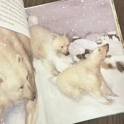 ✨𝑰𝒄𝒆 𝑩𝒆𝒂𝒓𝒔✨ 749617