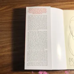 Tư duy đặt cược 970357