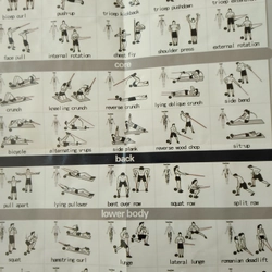 Bộ tập gym tại nhà: 5 dây kháng lực + đòn squat +  hướng dẫn tập luyện  308071