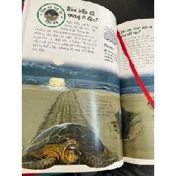 Khám phá thế giới đông vật 782770