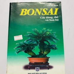 BONSAI CÂY DÁNG, THẾ VÀ NON BỘ