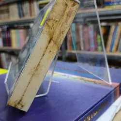 TÌNH YÊU KIÊN CƯỜNG HƠN CÁI CHẾT - LẠC HOÀ 606151