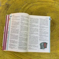 DICTIONNAIRE HACHETTE JUNIOR 761502