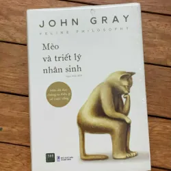 Mèo và triết lý nhân sinh 