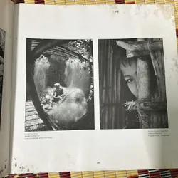 Đào hoa nữ Việt Nam quê hương tôi 726936