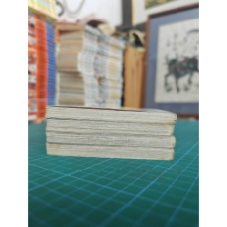 Truyện tranh thiên thần cuối thế kỉ 472556