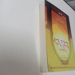 Ngàn mặt trời rực rỡ 706665