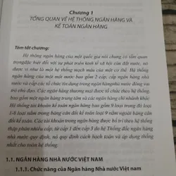 Kế toán Ngân Hàng. Phó GS Tiến sỹ Nguyến Phú Giang chủ biên 719007