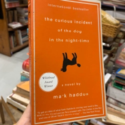 THE CURIOUS INCIDENT OF THE DOG IN THE NIGHT-TIME (VINTAGE CLASSICS) - MARK HADDON 140290