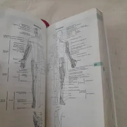 Oxford handbook of clinical medicine. 3rd edition. R.A. Hope 593074
