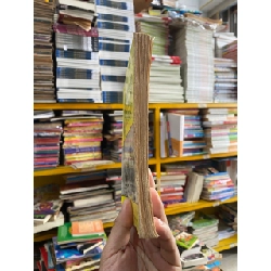 Một số đặc trưng nghệ thuật của thơ Tứ tuyệt đời Đường - Nguyễn Sĩ Đại 1013140