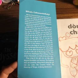 Flow - Dòng chảy, trải nghiệm tối ưu 797669