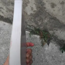 Amerca 's role in Asia ( Asian and American views ) 1021842