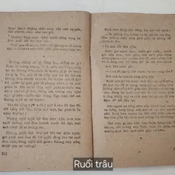 Tác phẩm văn học kinh điển RUỒI TRÂU (Ethel Lilian Voynich
) 719083