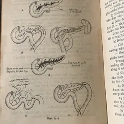 Bài giảng bệnh học ngoại khóa tập 1 - 2, lưu hành nội bộ 709608