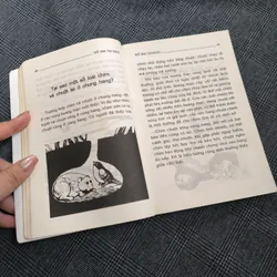 Đố em tại sao...? Thế giới động vật - Dương Phúc Bình chủ biên 564721