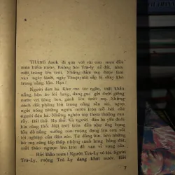 Cây sầu đâu sinh đôi - Trúc Phương  976169