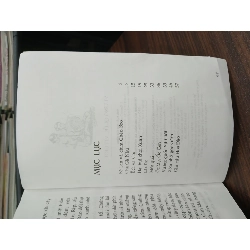 Vương quốc vịt giời — Dương Quốc Hải (NXB Kim Đồng) 577784